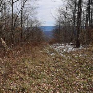 Photo of UNDER CONTRACT!!  208 Acres of Hunting and Recreational Land For Sale in Bland County VA!