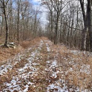 Photo of UNDER CONTRACT!!  208 Acres of Hunting and Recreational Land For Sale in Bland County VA!