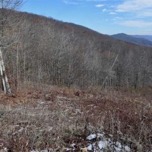 Photo of UNDER CONTRACT!!  208 Acres of Hunting and Recreational Land For Sale in Bland County VA!