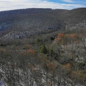 Photo of UNDER CONTRACT!!  208 Acres of Hunting and Recreational Land For Sale in Bland County VA!