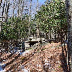 Photo of UNDER CONTRACT!!  208 Acres of Hunting and Recreational Land For Sale in Bland County VA!