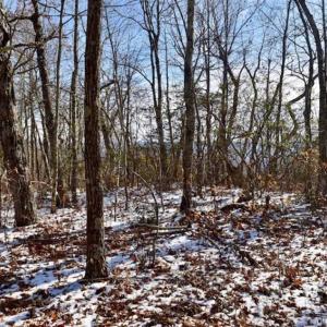 Photo of UNDER CONTRACT!!  208 Acres of Hunting and Recreational Land For Sale in Bland County VA!