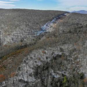 Photo of UNDER CONTRACT!!  208 Acres of Hunting and Recreational Land For Sale in Bland County VA!