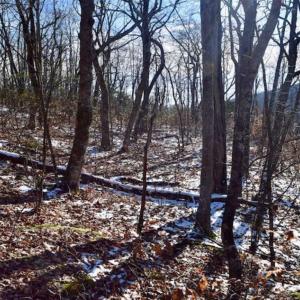 Photo of UNDER CONTRACT!!  208 Acres of Hunting and Recreational Land For Sale in Bland County VA!