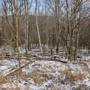 Photo of UNDER CONTRACT!!  208 Acres of Hunting and Recreational Land For Sale in Bland County VA!