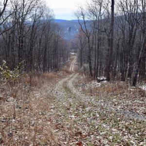 Photo of UNDER CONTRACT!!  208 Acres of Hunting and Recreational Land For Sale in Bland County VA!