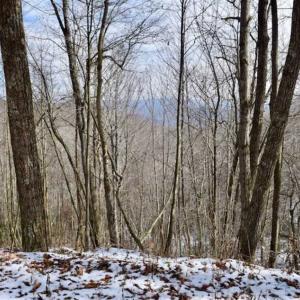Photo of UNDER CONTRACT!!  208 Acres of Hunting and Recreational Land For Sale in Bland County VA!