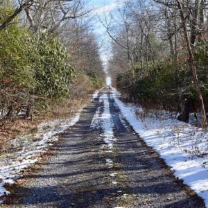 Photo of UNDER CONTRACT!!  208 Acres of Hunting and Recreational Land For Sale in Bland County VA!