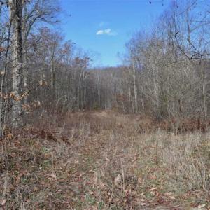 Photo of UNDER CONTRACT!!  208 Acres of Hunting and Recreational Land For Sale in Bland County VA!
