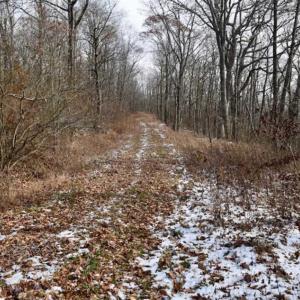 Photo of UNDER CONTRACT!!  208 Acres of Hunting and Recreational Land For Sale in Bland County VA!