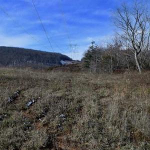 Photo of UNDER CONTRACT!!  208 Acres of Hunting and Recreational Land For Sale in Bland County VA!