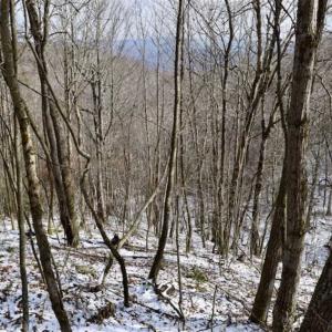 Photo of UNDER CONTRACT!!  208 Acres of Hunting and Recreational Land For Sale in Bland County VA!