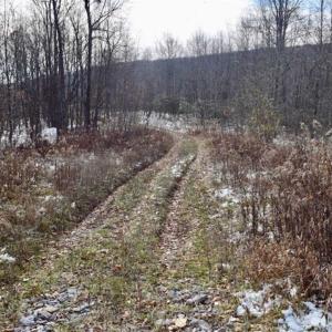 Photo of UNDER CONTRACT!!  208 Acres of Hunting and Recreational Land For Sale in Bland County VA!