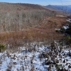 Photo of UNDER CONTRACT!!  208 Acres of Hunting and Recreational Land For Sale in Bland County VA!