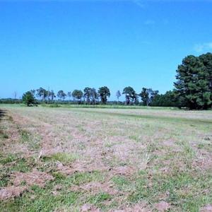 Photo of REDUCED!  27 Acres of Waterfront Residential Development Land in Beaufort County NC!