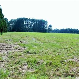 Photo of REDUCED!  27 Acres of Waterfront Residential Development Land in Beaufort County NC!