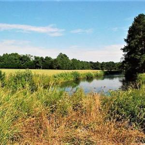 Photo of REDUCED!  27 Acres of Waterfront Residential Development Land in Beaufort County NC!