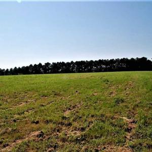 Photo of REDUCED!  27 Acres of Waterfront Residential Development Land in Beaufort County NC!