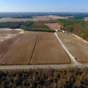Photo of SOLD!!  42.75 Acres of Farm and Timber Land For Sale in Craven County NC!
