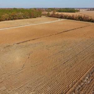 Photo of SOLD!!  42.75 Acres of Farm and Timber Land For Sale in Craven County NC!
