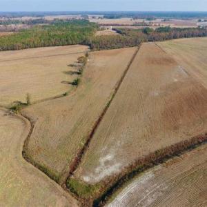 Photo of SOLD!!  42.75 Acres of Farm and Timber Land For Sale in Craven County NC!