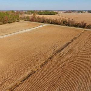 Photo of SOLD!!  42.75 Acres of Farm and Timber Land For Sale in Craven County NC!