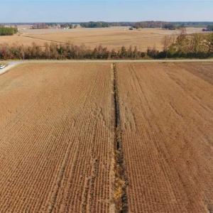 Photo of SOLD!!  42.75 Acres of Farm and Timber Land For Sale in Craven County NC!