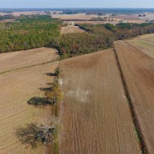 Photo of SOLD!!  42.75 Acres of Farm and Timber Land For Sale in Craven County NC!
