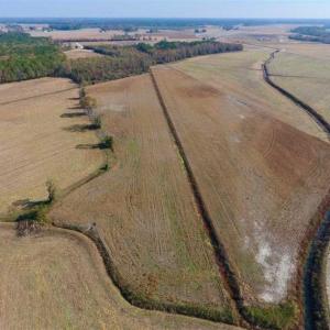 Photo of SOLD!!  42.75 Acres of Farm and Timber Land For Sale in Craven County NC!