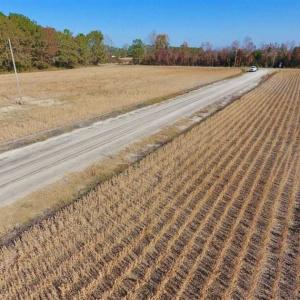 Photo of SOLD!!  42.75 Acres of Farm and Timber Land For Sale in Craven County NC!