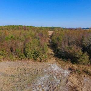 Photo of SOLD!!  42.75 Acres of Farm and Timber Land For Sale in Craven County NC!