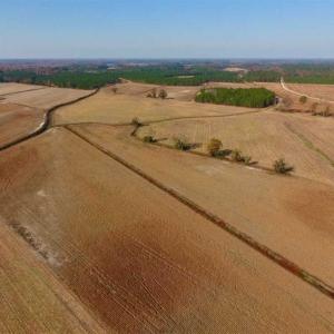 Photo of SOLD!!  42.75 Acres of Farm and Timber Land For Sale in Craven County NC!