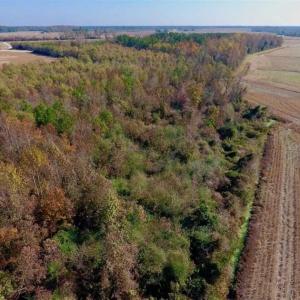 Photo of SOLD!!  42.75 Acres of Farm and Timber Land For Sale in Craven County NC!