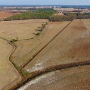 Photo of SOLD!!  42.75 Acres of Farm and Timber Land For Sale in Craven County NC!