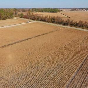 Photo of SOLD!!  42.75 Acres of Farm and Timber Land For Sale in Craven County NC!