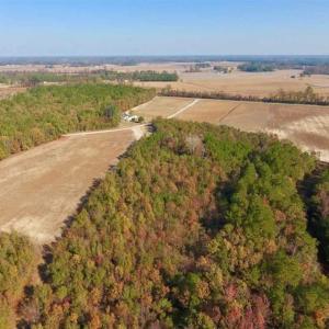 Photo of SOLD!!  42.75 Acres of Farm and Timber Land For Sale in Craven County NC!