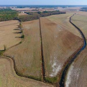 Photo of SOLD!!  42.75 Acres of Farm and Timber Land For Sale in Craven County NC!