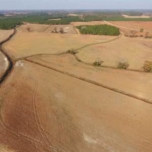 Photo of SOLD!!  42.75 Acres of Farm and Timber Land For Sale in Craven County NC!