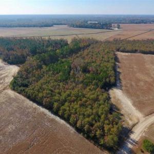 Photo of SOLD!!  42.75 Acres of Farm and Timber Land For Sale in Craven County NC!