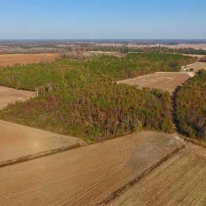 Photo of SOLD!!  42.75 Acres of Farm and Timber Land For Sale in Craven County NC!