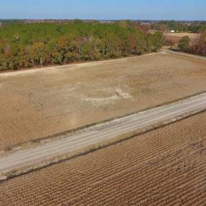 Photo of SOLD!!  42.75 Acres of Farm and Timber Land For Sale in Craven County NC!