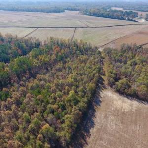 Photo of SOLD!!  42.75 Acres of Farm and Timber Land For Sale in Craven County NC!