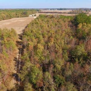 Photo of SOLD!!  42.75 Acres of Farm and Timber Land For Sale in Craven County NC!
