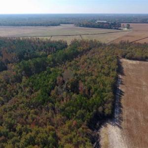 Photo of SOLD!!  42.75 Acres of Farm and Timber Land For Sale in Craven County NC!