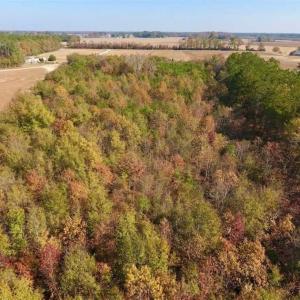 Photo of SOLD!!  42.75 Acres of Farm and Timber Land For Sale in Craven County NC!