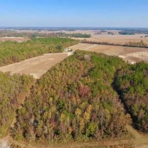 Photo of SOLD!!  42.75 Acres of Farm and Timber Land For Sale in Craven County NC!
