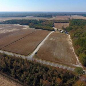 Photo of SOLD!!  42.75 Acres of Farm and Timber Land For Sale in Craven County NC!