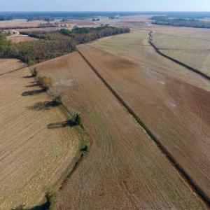 Photo of SOLD!!  42.75 Acres of Farm and Timber Land For Sale in Craven County NC!