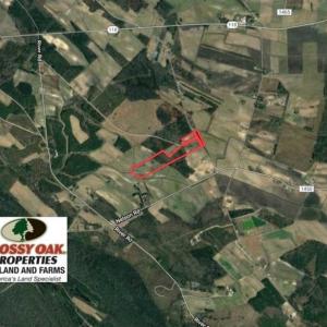 Photo of SOLD!!  42.75 Acres of Farm and Timber Land For Sale in Craven County NC!