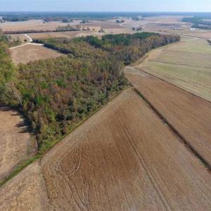 Photo of SOLD!!  42.75 Acres of Farm and Timber Land For Sale in Craven County NC!